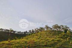 Cực hot đất khu nghỉ dưỡng số 1 đà lạt nhanh tay sở hữu ngay lô đất tiềm năng này ạ