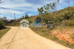 Ban lo đat khu quy hoach mang line p7 tp. đa lat view đồi thông bao la giá chỉ 10trm2