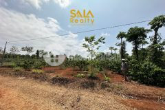 Đất sào thuộc phường khánh xuân 1890m2 giá chỉ 1,1 tỷ