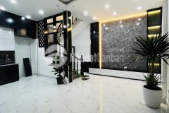 Bán nhà chùa láng ngõ kinh doanh sầm uất ba bước ra oto ở ngay