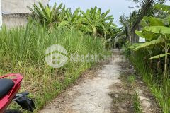 Bán 02 nền đất tất cả thổ cư, khu phố 1, phường 10, tp mỹ tho.