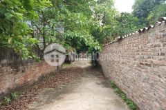 Bất động sản toàn dân, 56m đình dù, 888 triệu, gần chợ đường cái