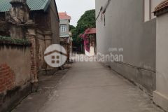 Chuyển nhà lên phố, chủ cần bán 585m đất chỉ đạo, ô tô vào ngon