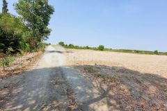 Bán đất thổ cư lý nhơn, x.lý nhơn, cần giờ 8,3 x 135 1.116m2, giá 3,68 tỷ