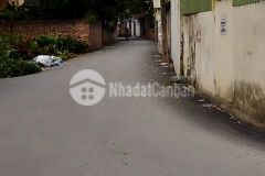 Đất đẹp, đường trải nhựa, có thể kết hợp ở và kinh doanh, giá chỉ 1,x tỷ