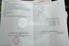 Giảm giá siêu mạnh bán nhanh trong tuần 1 tỷ 620 giảm còn 1 tỷ 450 mt đường nhựa 20m