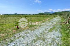 Bán đất vườn diên đồng giá rẻ gần trục đường nhựa liên xã