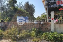 Đất nền cô tô, full thổ cư, quy hoạch rõ ràng