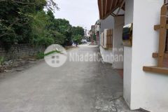 Bán đất tại chỉ đạo, văn lâm, mặt tiền rộng, ô tô vào thoải mái