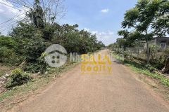 Đất đường số 1 thôn 8 cuebua tp.bmt 10x54 giá 1,5 tỷ