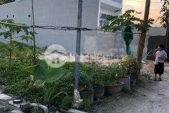 Quá kẹt tiền, cần bán gấp 1 lô đất ở phường tân an,thủ dầu một, bình dương. dt 118,5m2, thổ cư 60m2