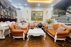 Nhà đẹp ở luôn phố phạm tuấn tài, q. cầu giấy, kinh doanh, ô tô, 65m2, 13,6 tỷ.