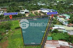 Giới thiệu lô đất 2 mặt tiền đường võ văn kiệt gần cafe cây gạo.