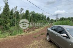 Cần bán 3 sào đất hoà khánh gần ql14