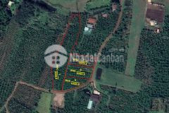 Cần bán 3,1 sào đất hoà khánh gần ql14