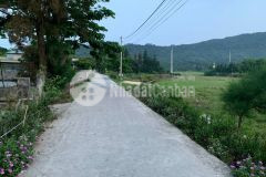 Đất nền cô tô, gần biển, gần cảng đón du khách, full thổ cư