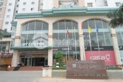 Cho thuê căn hộ ruby land mặt tiền đường lê quát,quận tân phú.