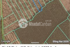 Bán 1005m2 đất ấp thái an, xã tân an, huyện vĩ. nh cửu, shr, 1.13 tỷ. lh0919565566