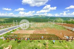 Đất ngay mt dt725.cách chợ bảo lâm 3km.cách nút giao cao tốc 6km.có thổ cư.shr, giá f0 0386397207