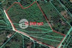 Cần bán 11.3450 m² đất vườn, 2 mặt tiền, cách ql20 300m, ngọc định, đq, đn