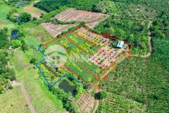 2 sào thổ cư xã hoà phú giá chỉ hơn 700tr.