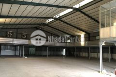 Cho thuê nhà xưởng đẹp 1000m2 an phú đông quận 12 tphcm