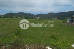 Đất nền cô tô, gần biển, gần cảng đón du khách, full thổ cư, tiềm năng tăng giá cao