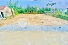 Đất rẻ thế này giờ ko mua thì để bao giờ