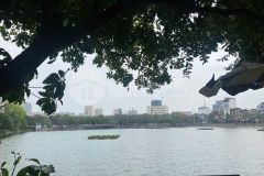 Gấpgia đình bán nhà phân lô 41m2x4t, oto đỗ cửa, ngay hồ đắc di, chỉ 8,2 tỷ