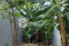 Bán đường dương đình hội,đỗ xuân hợp,kv xây5 tầng phước long b,thủ đức hxh 105m2 giá 5 tỷ.