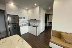 Chính chủ cần cho thuê căn hộ nội thất cao cấp tại hoàng huy grand sở dầu, lh 0354.111.039