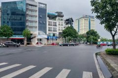 Bán đất ái mộ, bồ đề, hồng tiến, 85m2, mt5m, phân lô, ô tô, kinh doanh