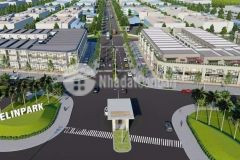 Trung tâm, cụm cn kim bài telin bark đang hót