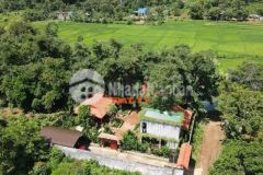 Nhà vườn view ruộng sau chợ eakao 35m mặt đường.