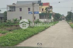 Cần bán đất liền kề quỳnh trang, quỳnh phụ.100m2x mt5m