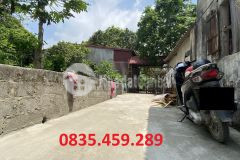 Bán đất chỉ đạo văn lâm, lô đẹp, 100m, giá chỉ 1.2 tỷ