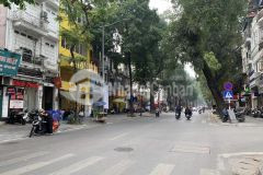 Mặt phố lò đúc 202m2 x 38 tỷ không có căn thứ 2 liên hệ ngay 0944523668