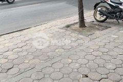 Bán nhà trần quang diệu 48m2, 4 tầng, 10m ra phố 5.5 tỷ