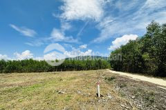 Đất làm vườn khánh hiệp khánh vĩnh giá rẻ