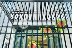 Siêu phẩm nhà phố xây mới 100.