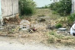 Đất ngộp củ chi đường nguyễn thị rành,xã tân an hội,192m2 giá 640 triệu