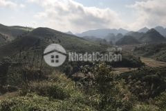 Bán mảnh đất siêu rẻ thuộc bản muống xã phiêng luông mộc châu