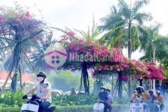 Lô đất nằm trên đường trần phú, thị trấn vạn giã, huyện vạn ninh, tỉnh khánh hoà