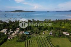 Đất cô tô,diện tích tiềm năng đầu tư sinh lời lớn.