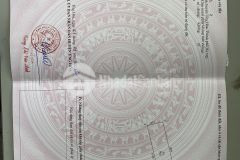 Chính chủ bán đất sổ đỏ đấu giá tử dương, cao thành, ứng hòa chỉ 2 tỉ