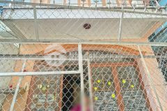 Bán nhanh nhà 1 lầu hẻm 3m trần xuân soạn, phường tân hưng, quận 7