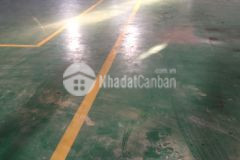 Cho thuê kho, xưởng tại nguyên khê đông anh