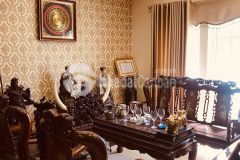 Biệt thự châu âu khu phân lô cát lái,tp.thủ đức 4 tầng ngang 7 dai 17 giá 16 tỷ tl