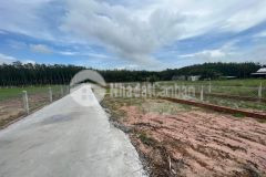 Bán đất kế bên khu công nghiêp thị trấn gò dầu tây ninh giá tốt đàu tư