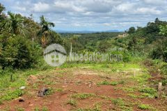 Cần tiền bán gấp lô đất hẻm hà huy tập giá tốt, ngay khu đô thị ân phú